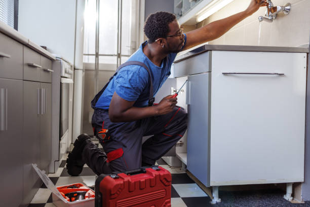 Best Residential Plumbing Services  in Fenton, MO